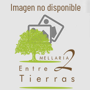 Queso Oveja Curado Pimentón Cuña