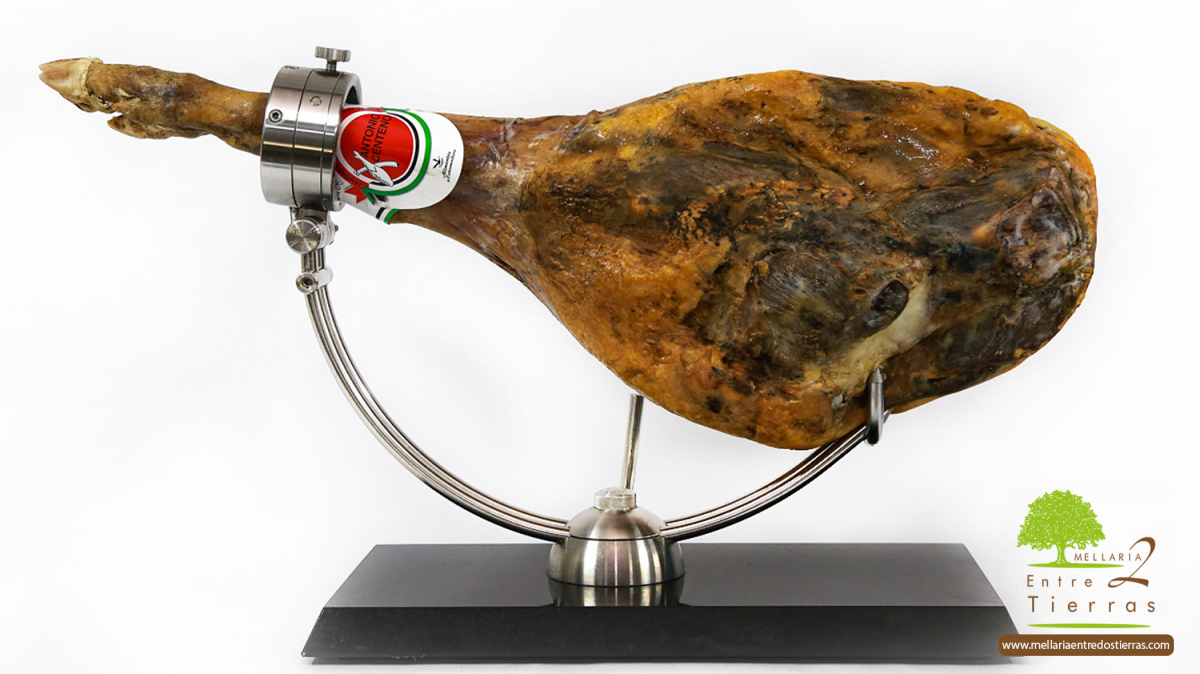 Jamón Bodega Gran Reserva
